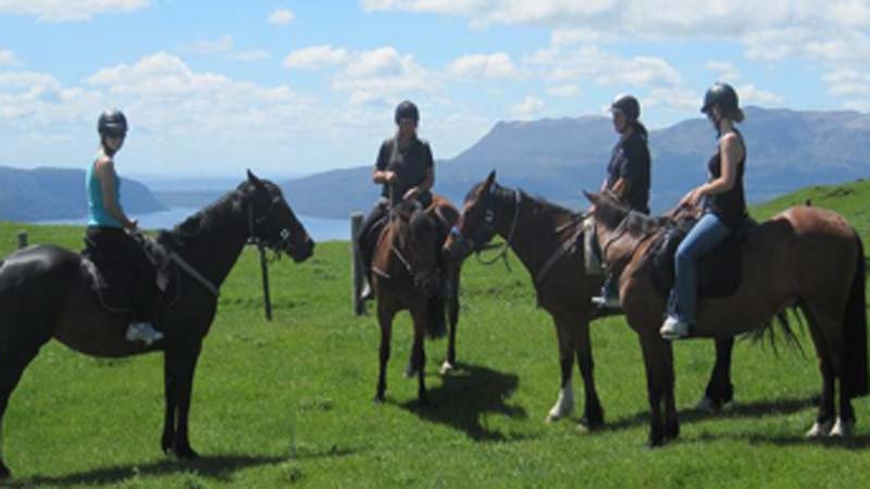 Join Horse Trekking Lake Okareka for a fantastic 2 hours of horse riding over stunning farmland to the beautiful and picturesque sandy shores of Lake Okareka