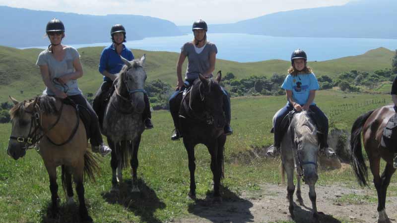 Join Horse Trekking Lake Okareka for a fantastic 2 hours of horse riding over stunning farmland to the beautiful and picturesque sandy shores of Lake Okareka