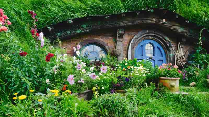 Join us for a thrilling day tour to two of New Zealand’s best loved attractions - The Hobbiton Movie Set and the incredible Waitomo Caves!