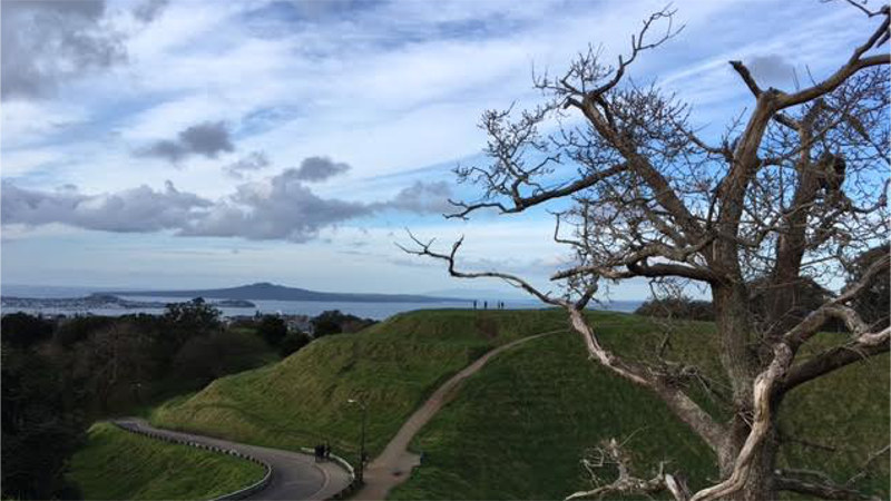 Join Volcano Tours Auckland as they explore the rich volcanic geology of the Auckland region