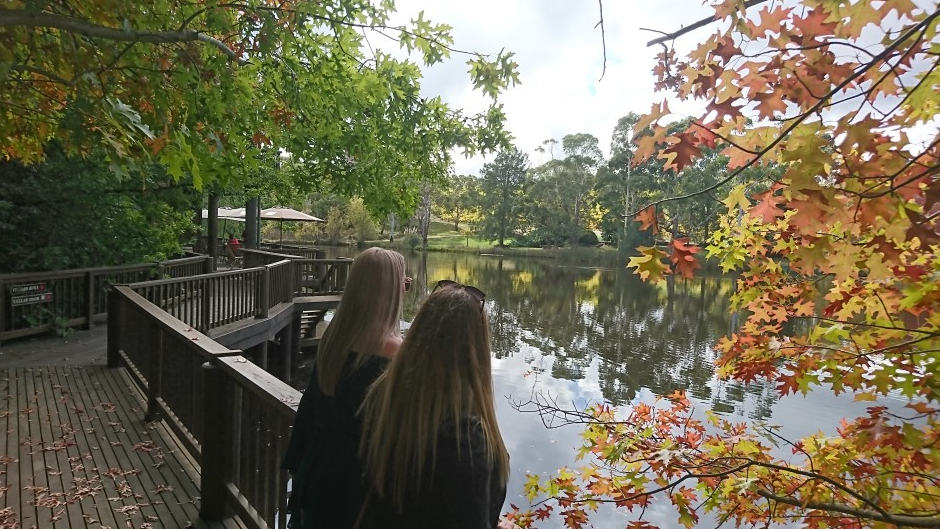 Discover beautiful McLaren Vale and it's outstanding produce!
