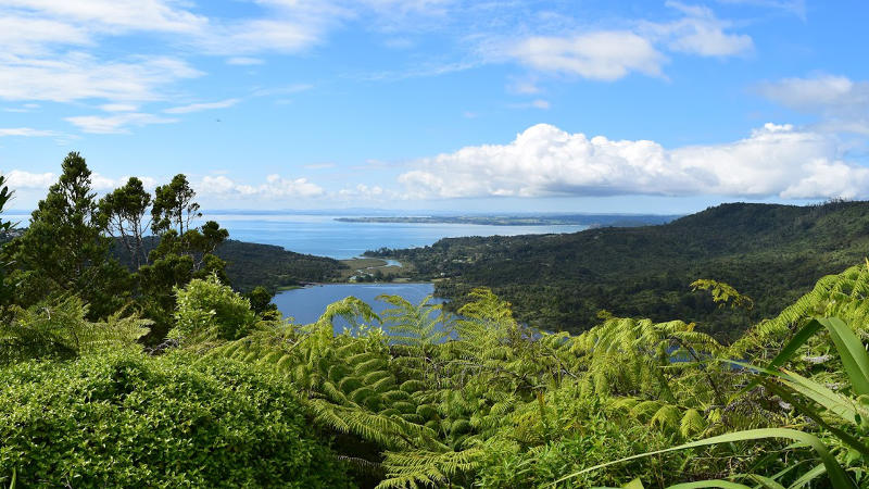 Departing from Auckland City centre every day, the tour offers the opportunity to explore of one of New Zealand’s most treasured national parks, and have a world-class surf lesson at the renowned Piha Beach.