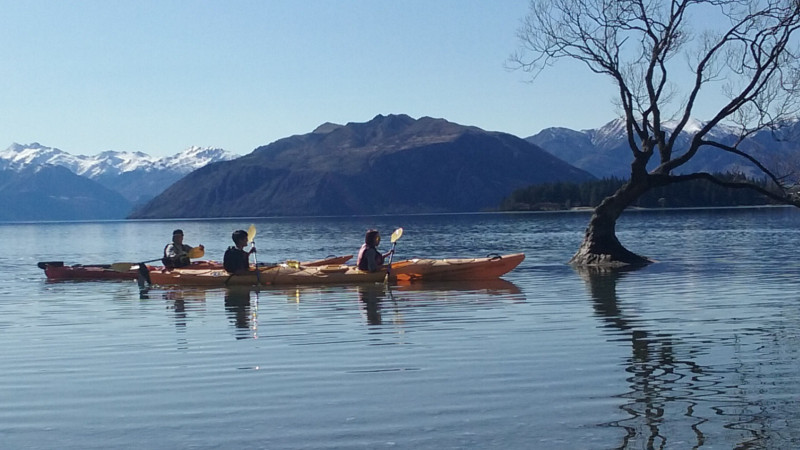 Our half day kayak tour is perfect for those seeking a bit of fun and exhilaration mixed into their scenic explorations...