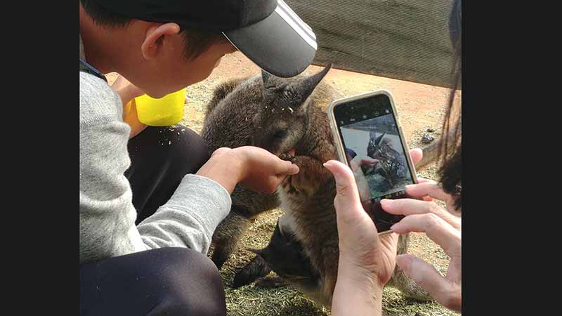 Join Around Sydney Tours on a day tour to the Blue Mountain