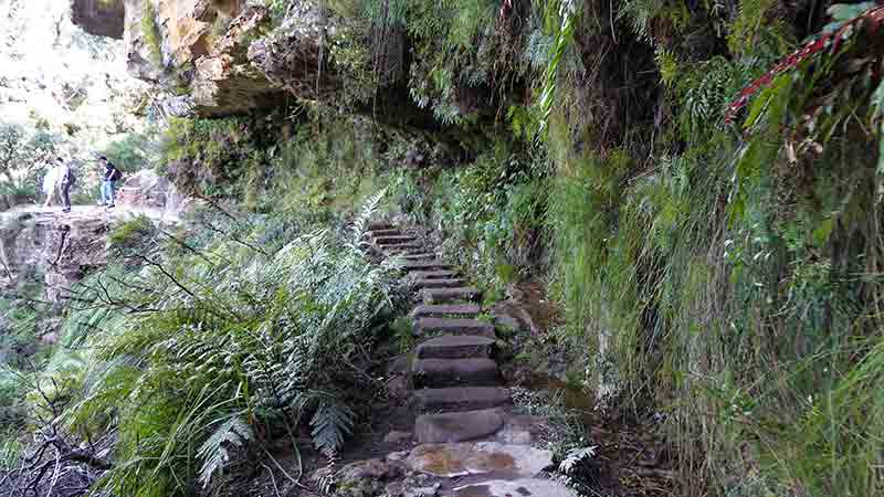 Join Around Sydney Tours on a day tour to the Blue Mountain