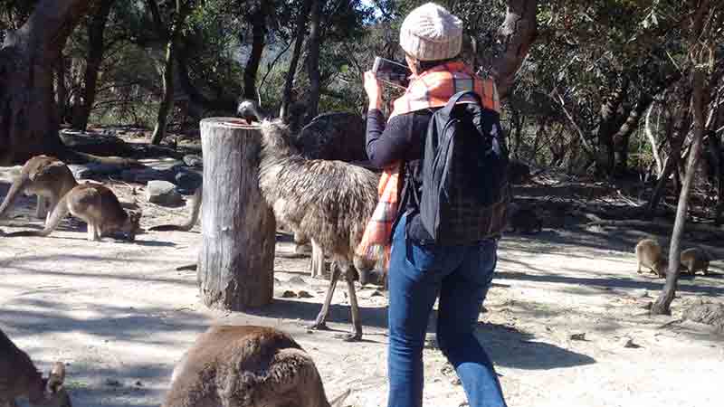 Visit one of the oldest wine regions in Australia, the Hunter Valley, with Around Sydney Tours for a fantastic day out