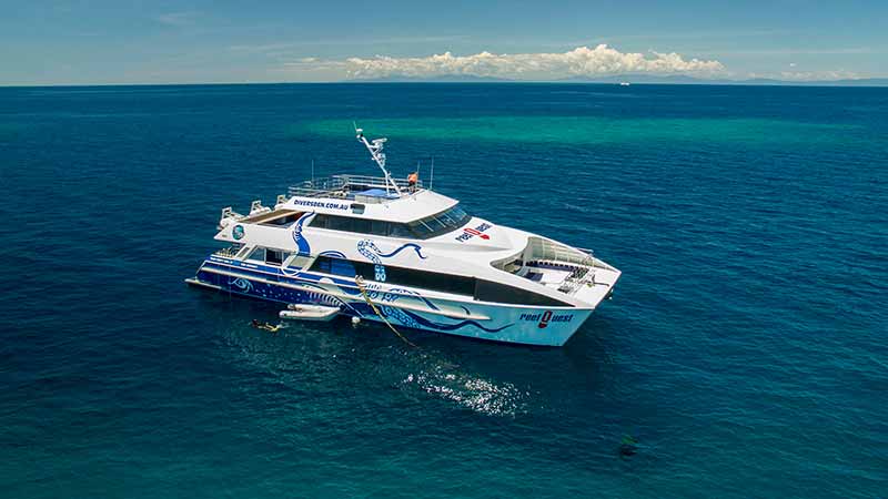 Join us on our new luxury vessel ReefQuest for a day of unlimited snorkeling on two different locations on the Great Barrier Reef