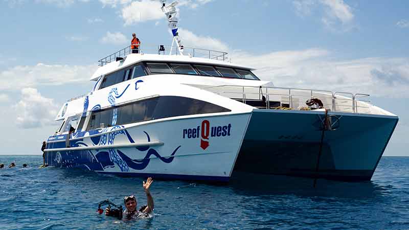 Join us on our new luxury vessel ReefQuest for a day of unlimited snorkeling on two different locations on the Great Barrier Reef