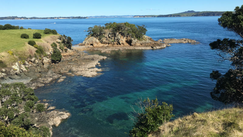 Join Walking by Nature as they embark on their signature walk through the breathtaking Headlands of Matiatia and Church Bay on the lush Waiheke Island.
