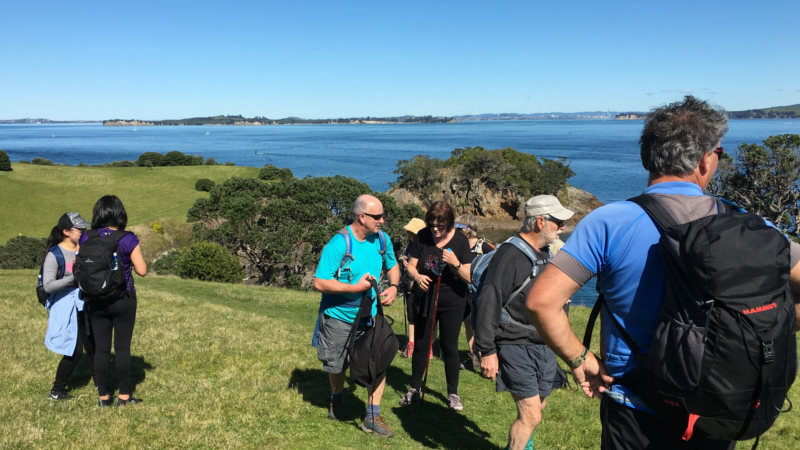 Join Walking by Nature as they embark on their signature walk through the breathtaking Headlands of Matiatia and Church Bay on the lush Waiheke Island.