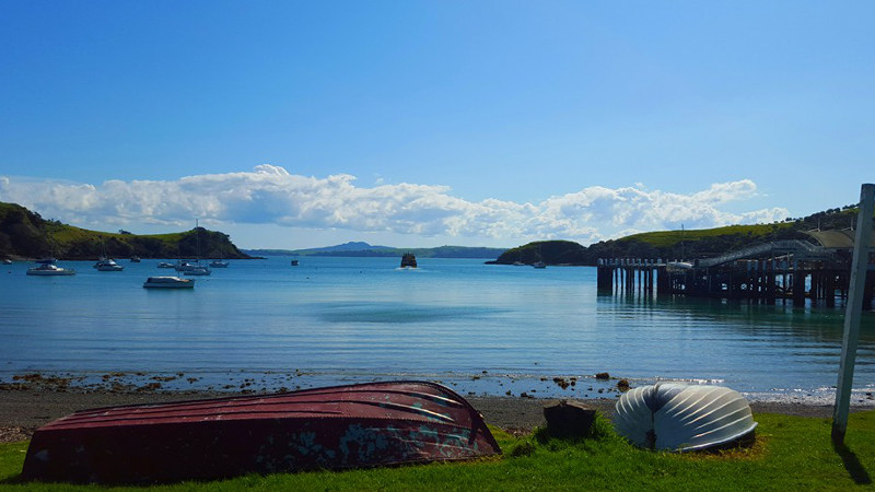 Join Walking by Nature as they embark on their signature walk through the breathtaking Headlands of Matiatia and Church Bay on the lush Waiheke Island.