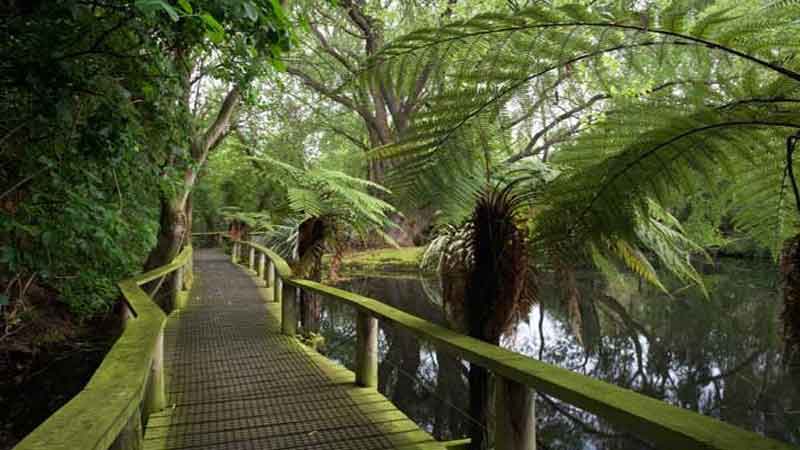 See native Kiwi, cheeky Kea, Tuatara and the very rare Takahe -  and much much more.  