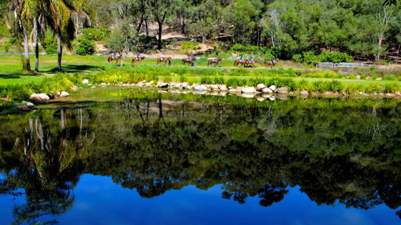 Thunderbird park deals