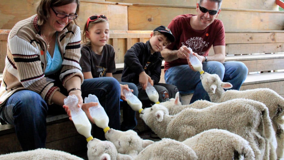 Escape the hustle and bustle of the city and discover Rural New Zealand at Sheepworld, just a 45 minute drive north of Auckland!