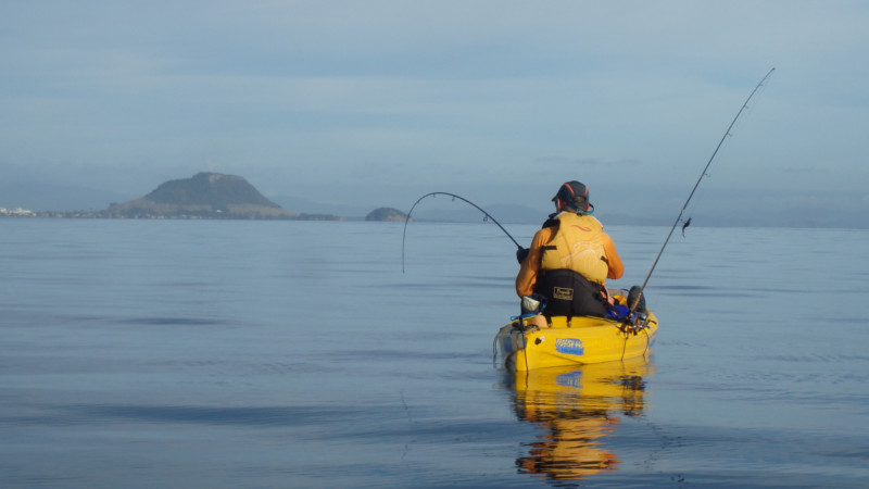 Join Tim at NZ kayaker on a half day kayak fishing trip for perfect combo of relaxation and breathtaking scenic beauty and the thrill of the catch!