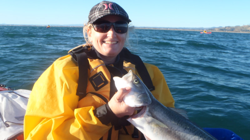 Join Tim at NZ kayaker on a half day kayak fishing trip for perfect combo of relaxation and breathtaking scenic beauty and the thrill of the catch!