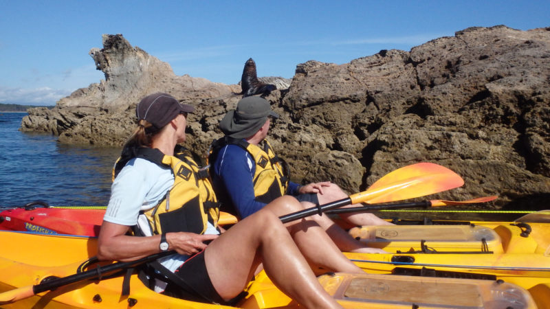 Take to the water and experience the breathtaking beauty of the mighty Mount Maunganui by kayak.