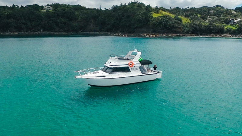 Join Gulf Eco Charters and discover the breathtaking beauty of the stunning Matakana Coast!