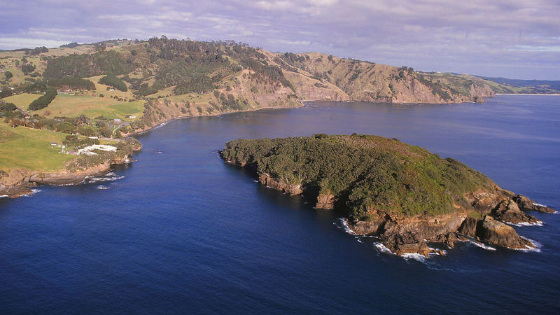 Join Gulf Eco Charters and discover the breathtaking beauty of the stunning Matakana Coast!