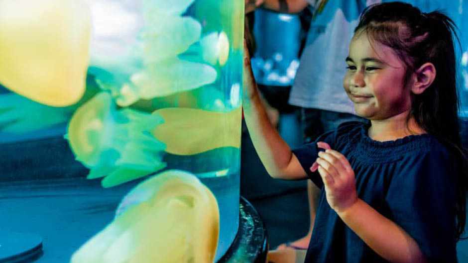 A Top 10 Sydney Attraction. Journey through SEA LIFE Sydney Aquarium’s extraordinary themed zones!