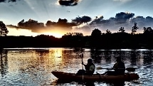 Glow Worm Kayaking Experience - NZ Kayaker