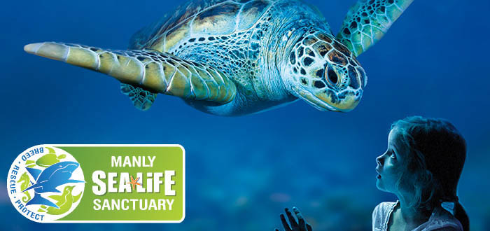 Experience animal conservation in action at Manly SEA LIFE Sanctuary and meet Little Penguins, sharks, sea turtles, rays and much more!