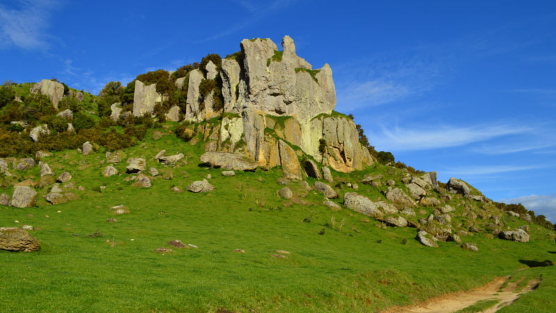 Experience an enchanting 2 hour horse trek through the beautiful Owairaka Valley with Stonehill Horse Treks!