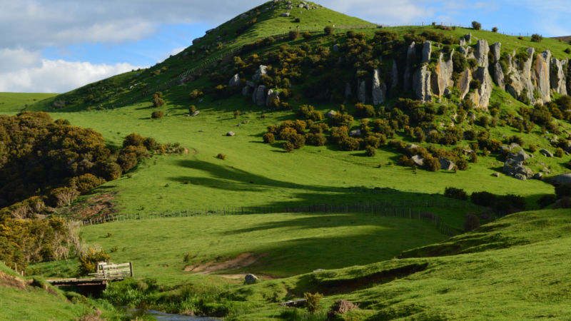 Experience an enchanting 2 hour horse trek through the beautiful Owairaka Valley with Stonehill Horse Treks!