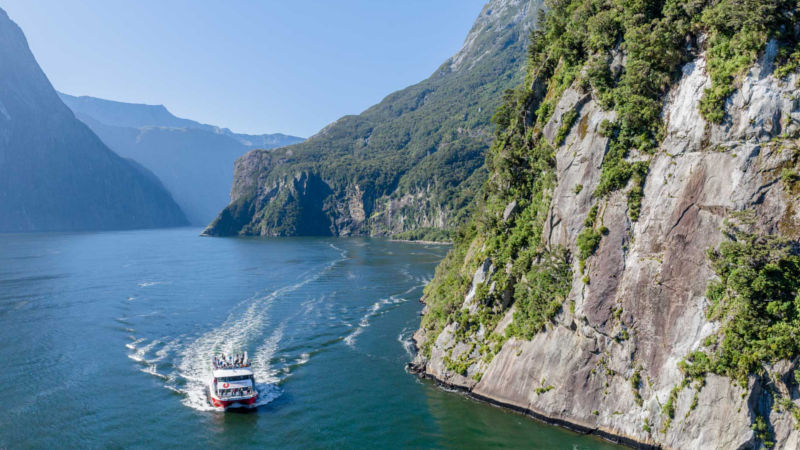 Encounter New Zealand wildlife in the breathtaking environment of Milford Sound.