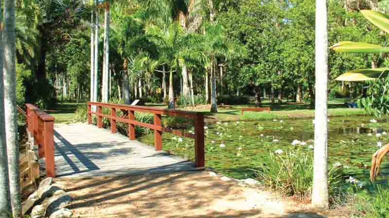 Enjoy practicality and childhood fun at the same time on a bicycle – This is the perfect way to see Cairns - ON A BUDGET!!!