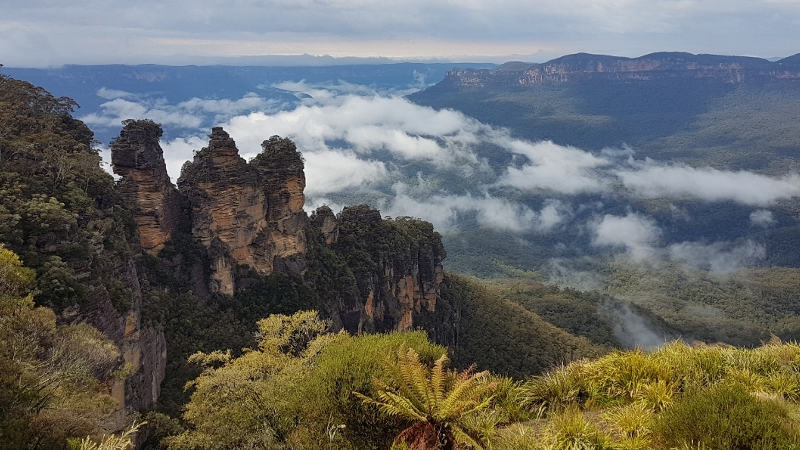 Avoid the tourist traps and feel like a local as our experience team of local Aussie’s introduce you to the Blue Mountain’s best spots, including hikes, waterfalls and wild kangaroos! 
