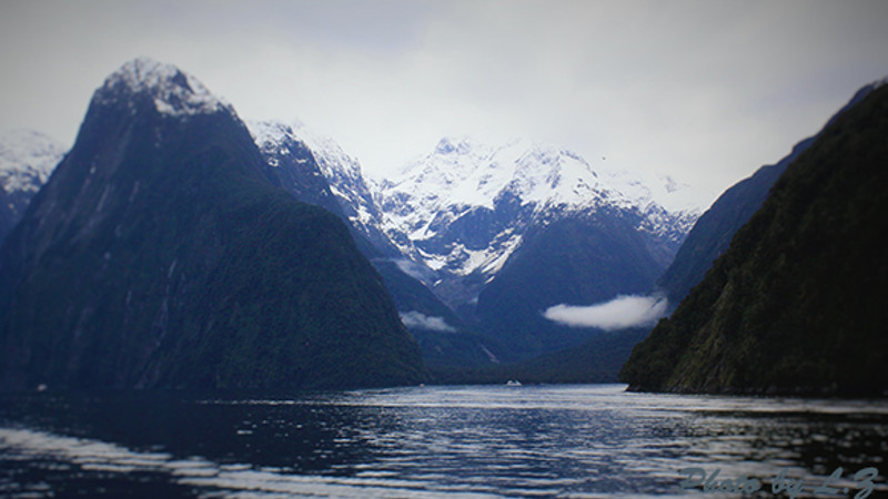 Milford Sound Nature Experience Full Day Private Tour Falcon