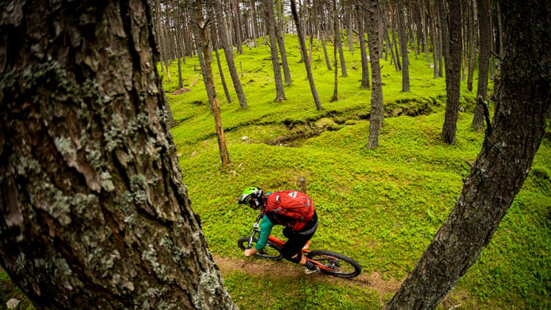 Hit the track and shred up some serious fun at the Waitangi Mountain Bike Park.