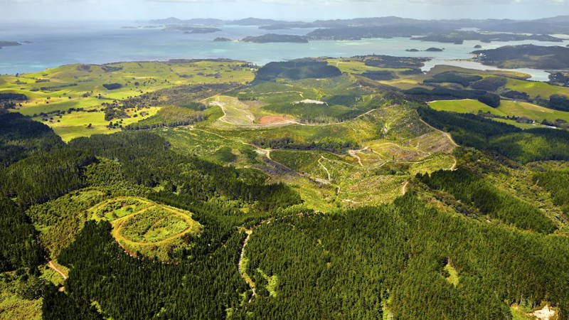 Hit the track and shred up some serious fun at the Waitangi Mountain Bike Park.