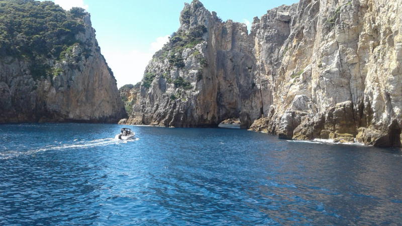 Great snorkelling 