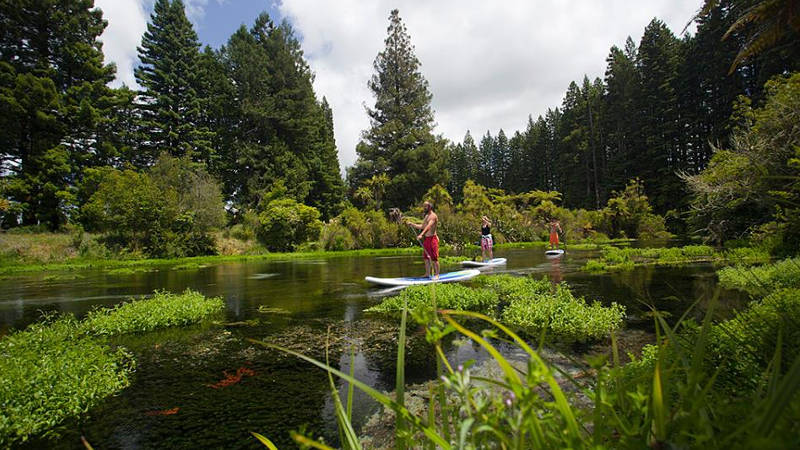 Rotorua Lake Tour