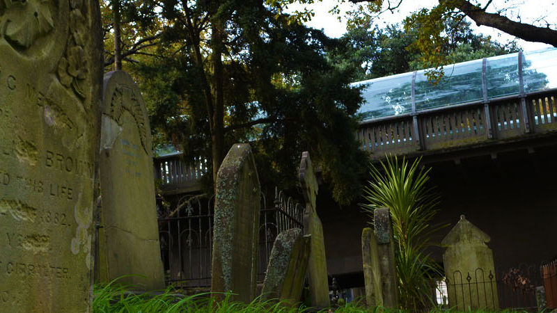 Join Auckland Ghost Tours for a fascinating journey into the rich history of Auckland’s oldest cemetery.