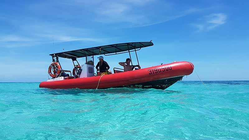 Join the crew aboard Ocean Adventurer II for a half day trip to the Great Barrier Reef departing from Palm Cove