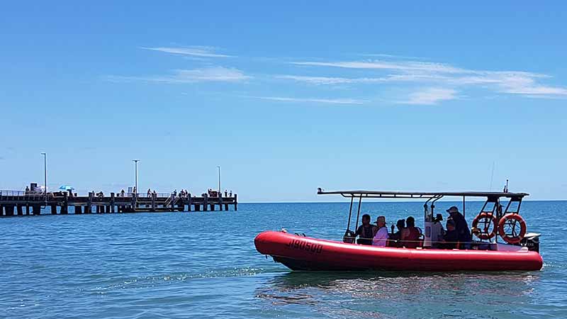 Join the crew aboard Ocean Adventurer II for a half day trip to the Great Barrier Reef departing from Palm Cove