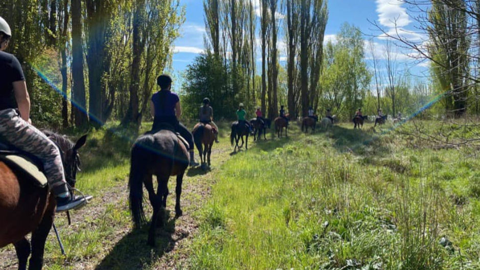 Set amongst stunning riverside scenery, Waimak River Riding Centre offers a safe and enjoyable riding experience for all abilities!
