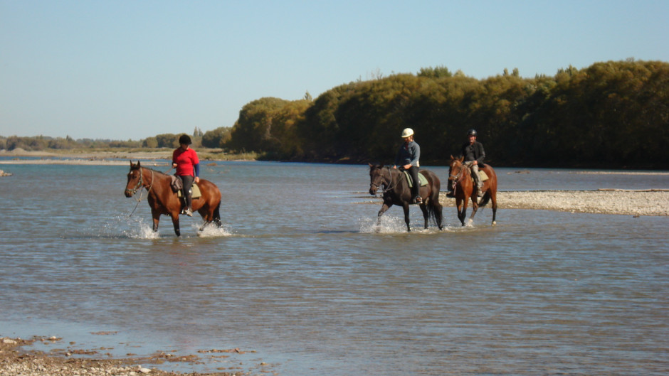Set amongst stunning riverside scenery, Waimak River Riding Centre offers a safe and enjoyable riding experience for all abilities!
