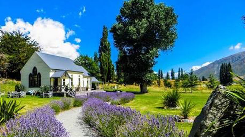 Experience the finest in Central Otago wines and Beer ay Waitiri Creek Winery.