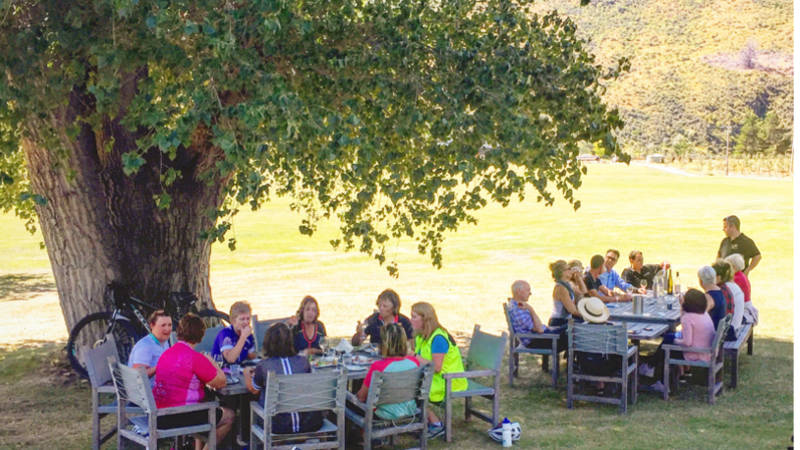 Experience the finest in Central Otago wines and Beer ay Waitiri Creek Winery.