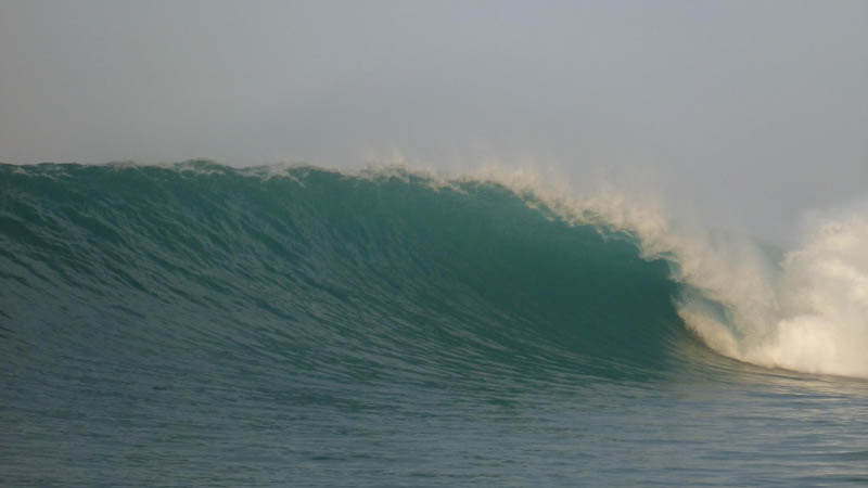 Enjoy an exciting group surf lesson at Warrington Beach, one of Dunedin’s best loved surf beaches!