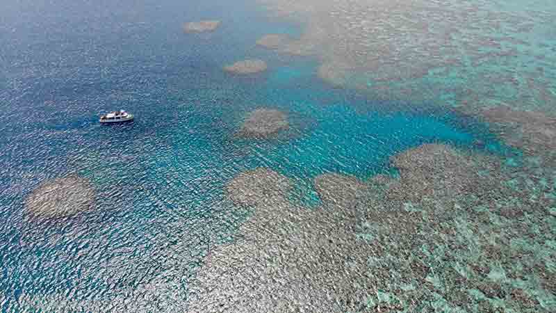 Join the team from Cairns Dive Centre aboard MV Sunkist for an epic day on the Great Barrier Reef! See the reef at its’ most pristine – we take you to the outer reef where you will see impressive coral formations and marine life at its best