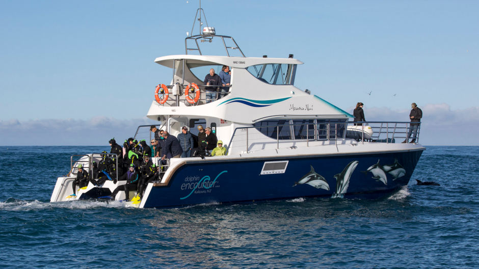 Get up close and personal to Kaikoura's incredible resident dusky dolphins in their stunning natural environment!