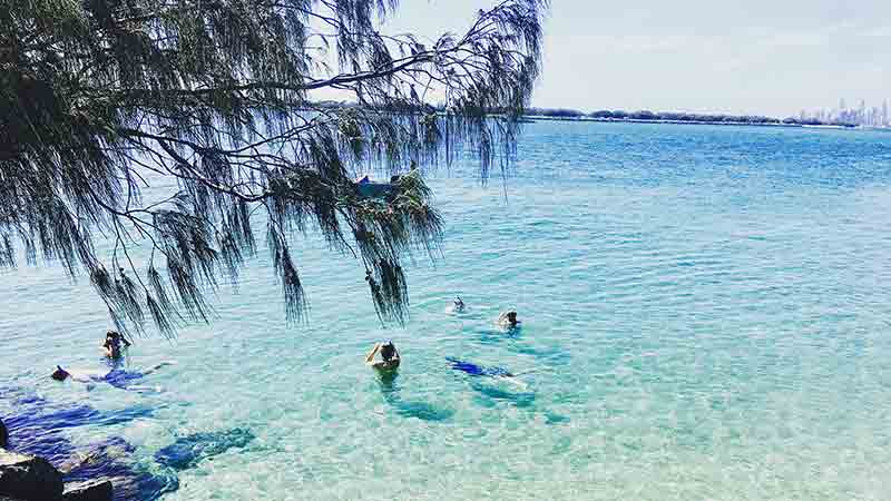 Join the team at Australian Kayaking Adventures for an unforgettable kayak tour, kayaking with dolphins and snorkelling the Gold Coast waterways.