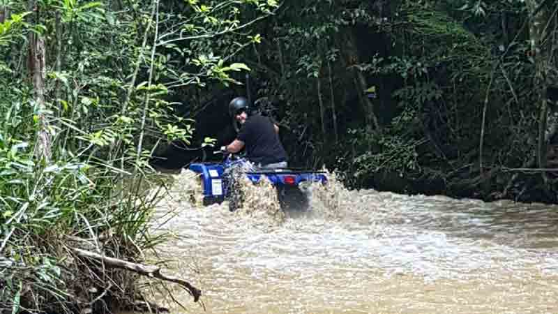 Join Cairns Quads & Adventures for an exciting ½ Day ATV quad bike tour and travel through the Rainforest on dirt tracks and creek crossings!