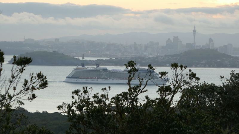 Join Fergs Kayaks for a magical adventure to Auckland’s iconic Rangitoto Island!