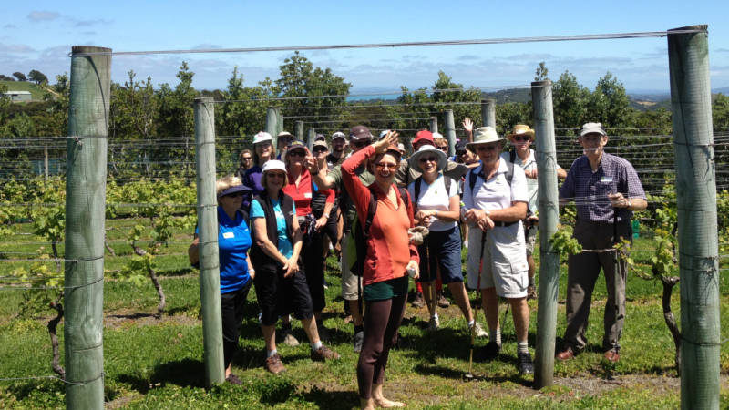 Discover Waiheke’s delicious local wines and spectacular scenery with this authentic relaxed-paced tour.